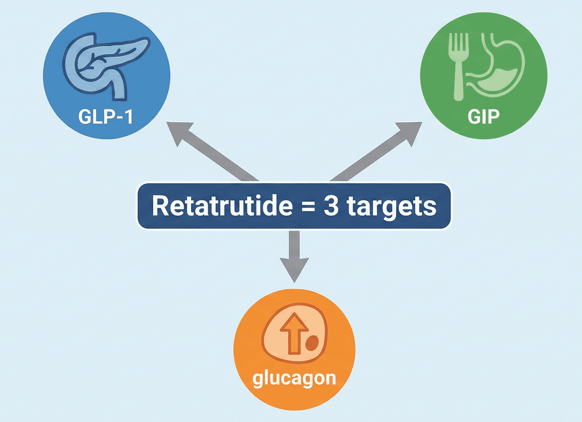 Retatrutide targets GLP‑1, GIP and glucagon receptors.