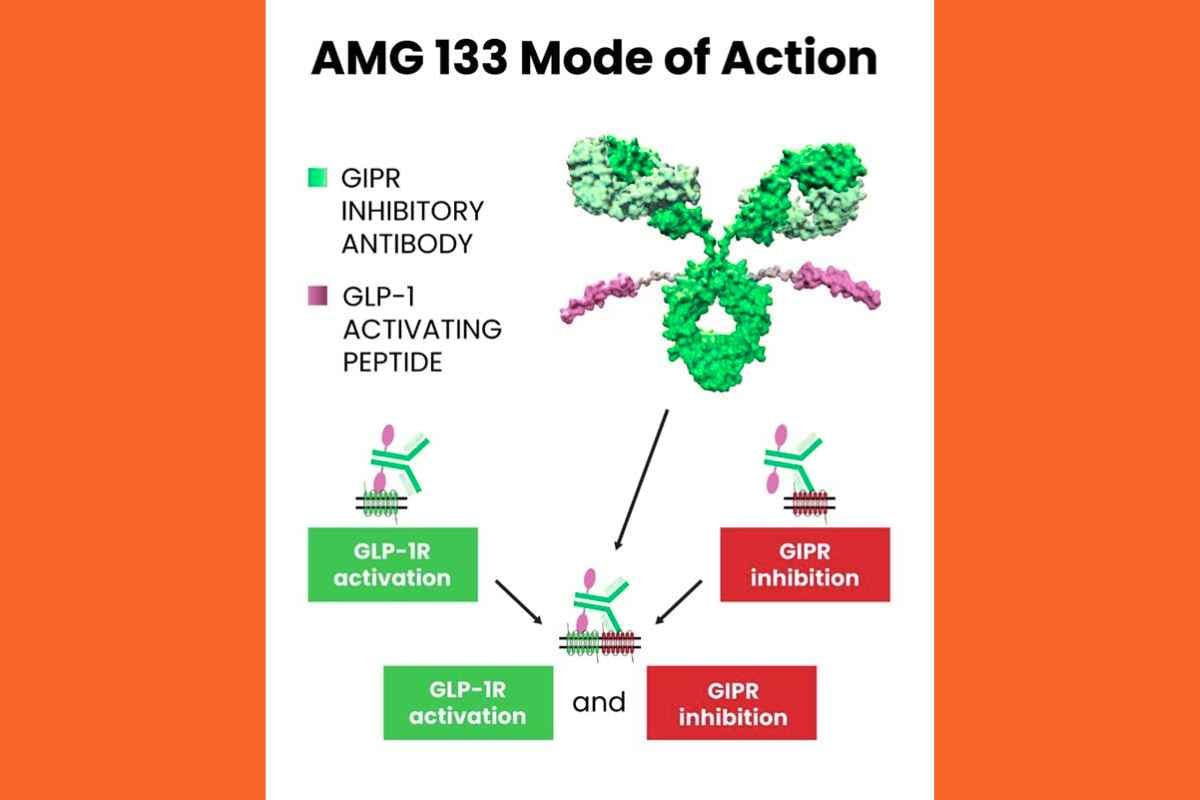 A mode-of-action diagram showing a GIP-receptor blocking antibody with GLP-1 activating peptides attached.